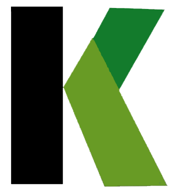 Practika Logo