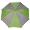 PARAGUAS ELGIN GRIS CON VERDE