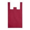 BOLSA AGDE TINTO